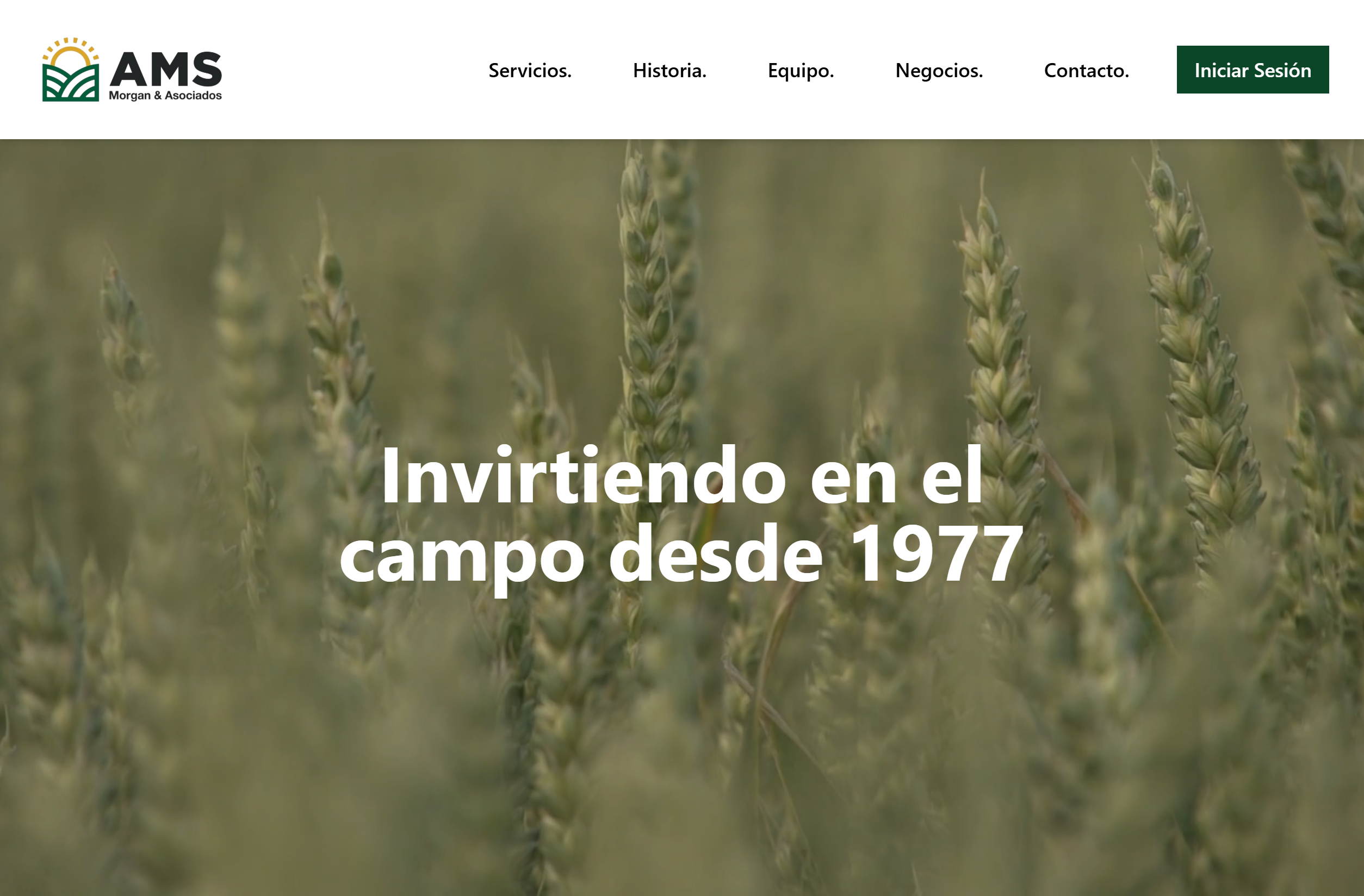 Morgan project snippet 1